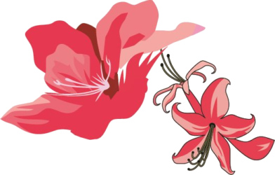 Azalea Glossary Azalea Society Of America